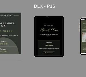 dlx-p16