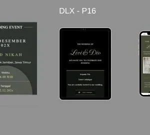 Model DLX P 16